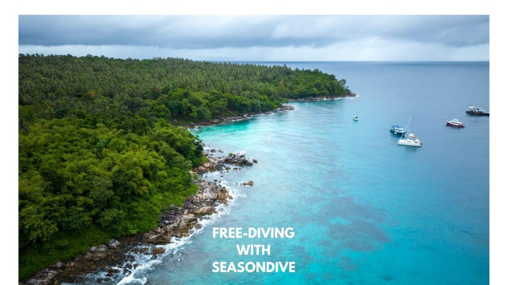 freedive