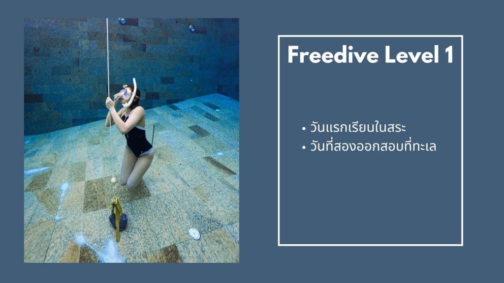 freedive